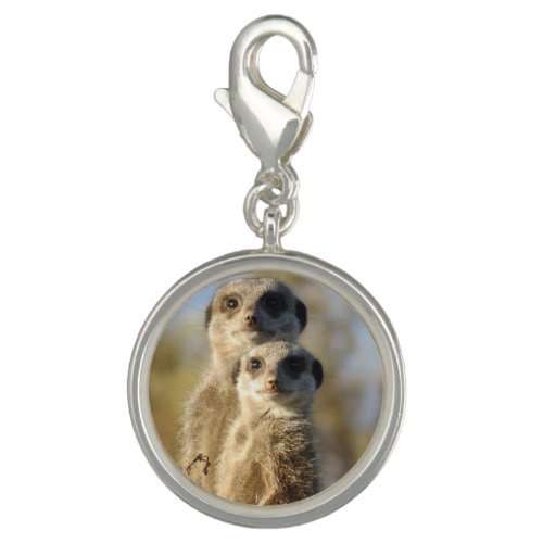 Pair of Meerkats Charm