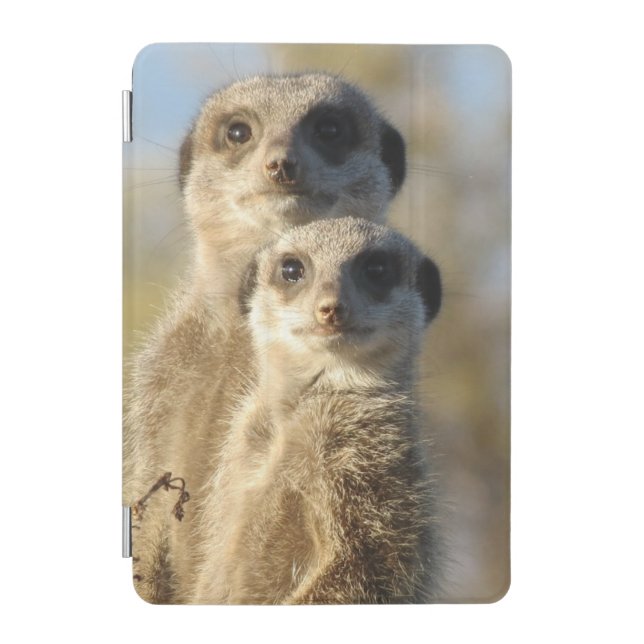 Pair of Meerkats iPad Mini Cover (Front)