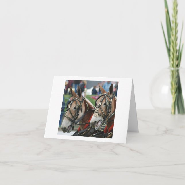 Pair of mules in harness card (Front)