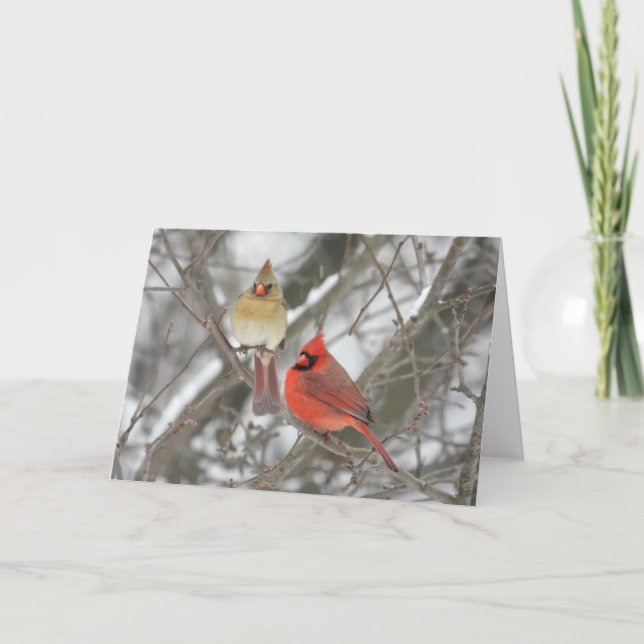 Pair Of Northern Cardinals Card (Front)