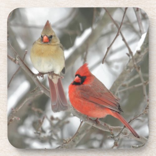 Pair Of Northern Cardinals Coaster