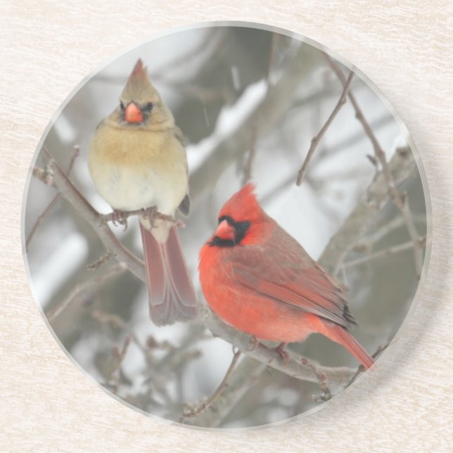 Pair Of Northern Cardinals Drink Coaster (Front)