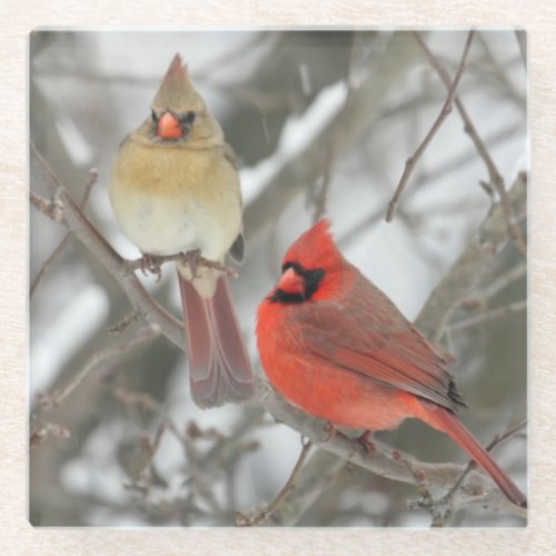 Pair Of Northern Cardinals Glass Coaster