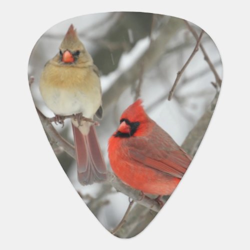 Pair Of Northern Cardinals Guitar Pick