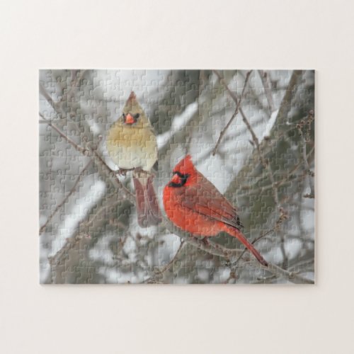 Pair Of Northern Cardinals Jigsaw Puzzle