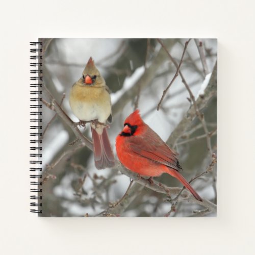 Pair Of Northern Cardinals Notebook