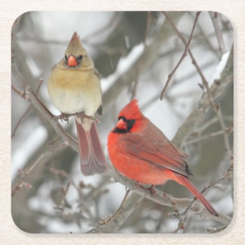 Pair Of Northern Cardinals Square Paper Coaster