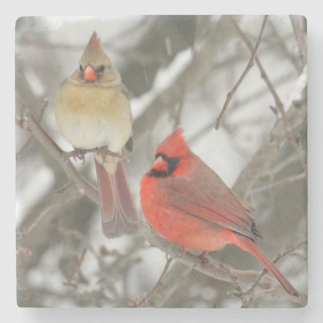 Pair Of Northern Cardinals Stone Coaster (Front)