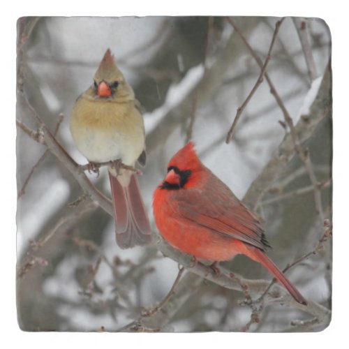 Pair Of Northern Cardinals Trivet