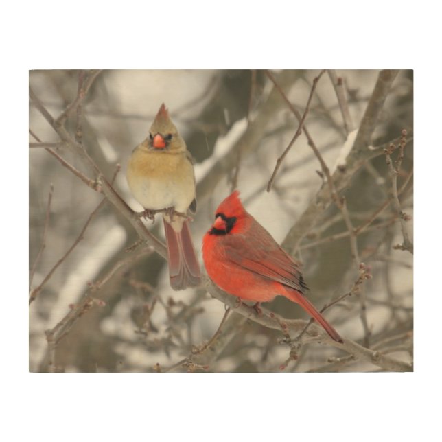Pair Of Northern Cardinals Wood Wall Art (Front)