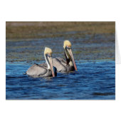 Pair of Pelicans (Front Horizontal)