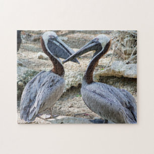 Pair of Pelicans Jigsaw Puzzle