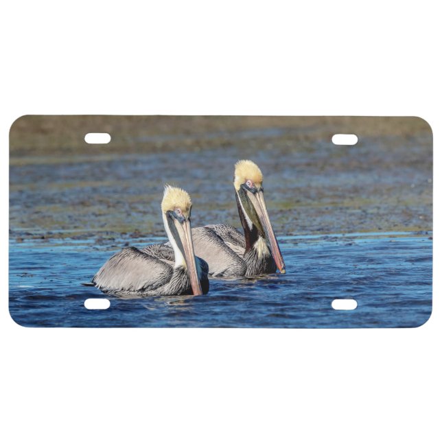 Pair of Pelicans License Plate (Front)