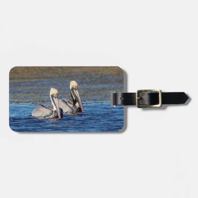 Pair of Pelicans Luggage Tag (Front Horizontal)