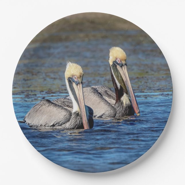 Pair of Pelicans Paper Plates (Front)