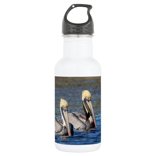 Pair of Pelicans Water Bottle (Front)