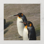 Pair of Penguins Invitation