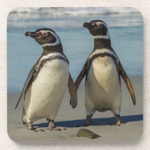 Pair of penguins on the beach beverage coaster
