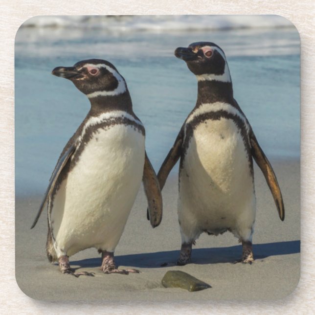Pair of penguins on the beach beverage coaster (Front)