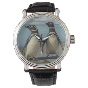 Pair of penguins on the beach watch