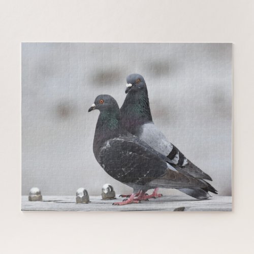 Pair of Pigeons Jigsaw Puzzle