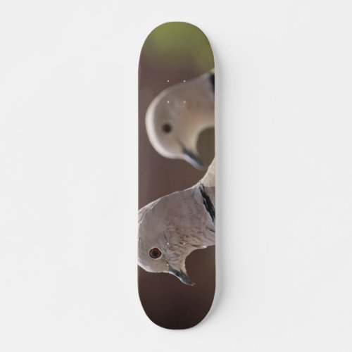 Pair of Pigeons Skateboard