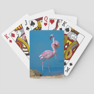Pair of Pink Flamingos Playing Cards