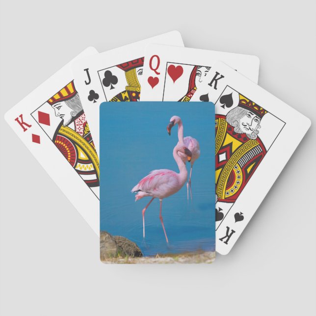 Pair of Pink Flamingos Playing Cards (Back)