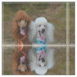 Pair of Poodles Fabric