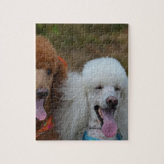 Pair of Poodles Jigsaw Puzzle
