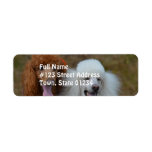 Pair of Poodles Label