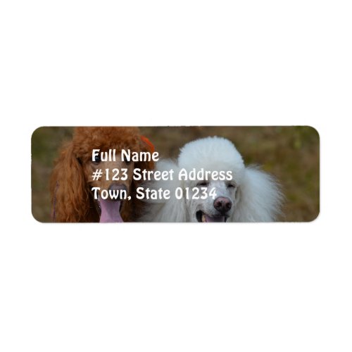 Pair of Poodles Label