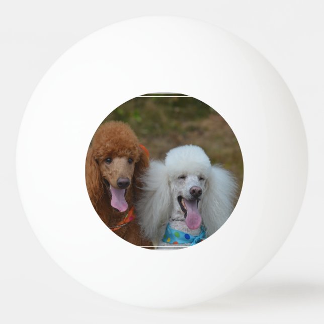 Pair of Poodles Ping-Pong Ball (Front)