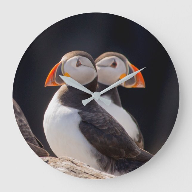 Pair of Puffins Large Clock (Front)