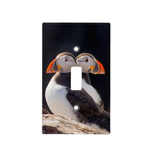 Pair of Puffins Light Switch Cover