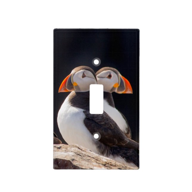 Pair of Puffins Light Switch Cover (Front)