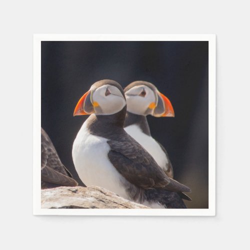 Pair of Puffins Napkins