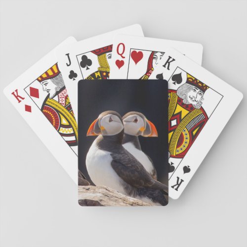 Pair of Puffins Poker Cards