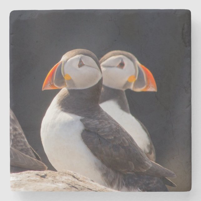 Pair of Puffins Stone Coaster (Front)
