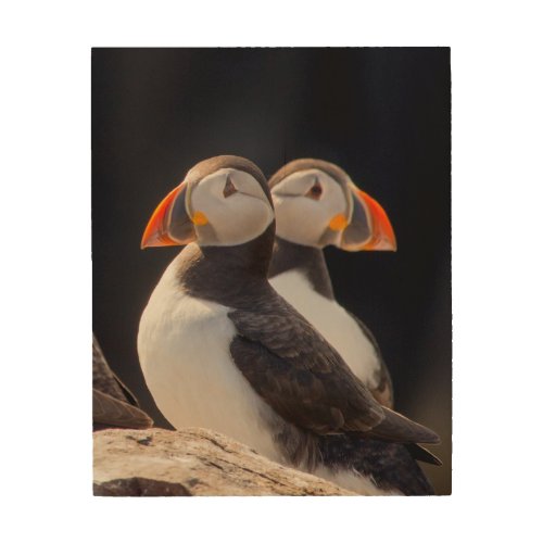 Pair of Puffins Wood Wall Decor