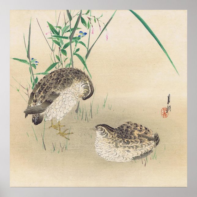 Pair of Quail Poster (Front)