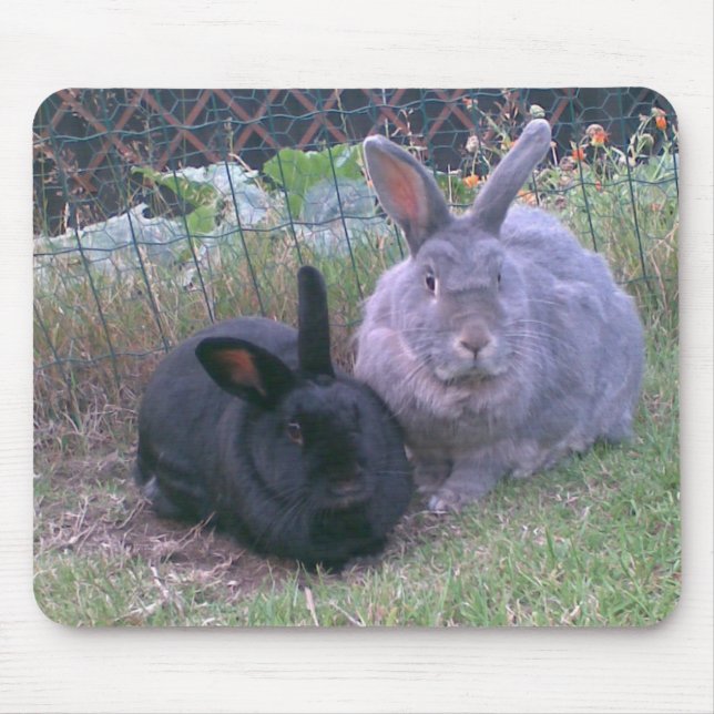 pair of rabbits mouse mat (Front)