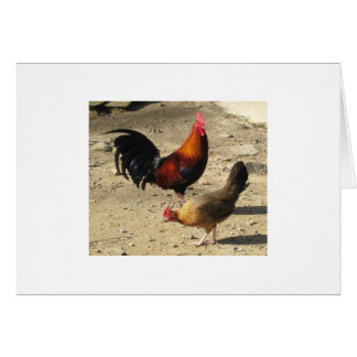 Pair Of Round Head Gamebirds Cards