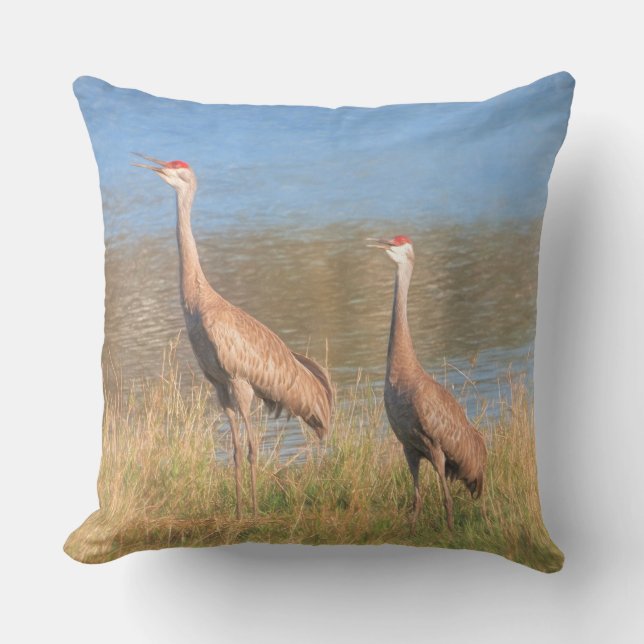 Pair of Sandhill Cranes Outdoor Pillow (Front)
