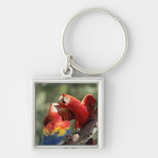 Pair of Scarlet Macaws Keychain (Front)
