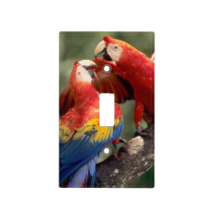 Pair of Scarlet Macaws Light Switch Cover