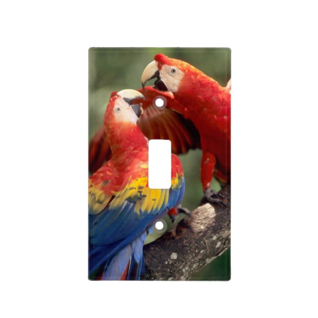Pair of Scarlet Macaws Light Switch Cover (Front)