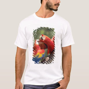 Pair of Scarlet Macaws T-Shirt