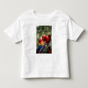 Pair of Scarlet Macaws Toddler T-shirt