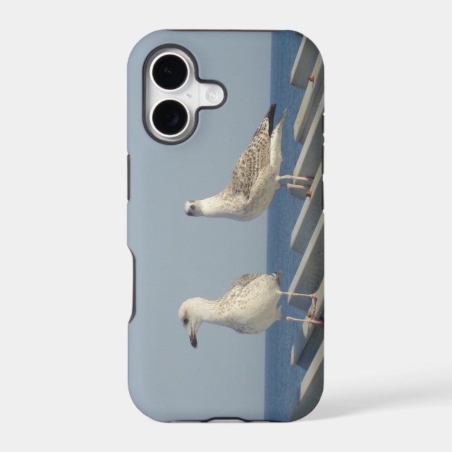 Pair of Seagulls iPhone Case (Back)